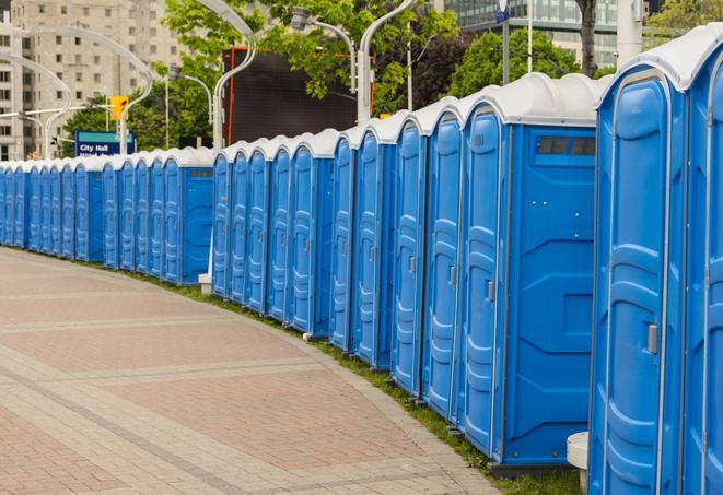 Seasonal porta potty units set up at a Cadillac, Michigan venue
